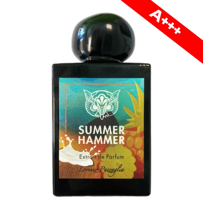 Lorenzo Pazzaglia Summer Hammer