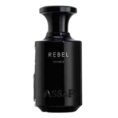 Assaf Rebel